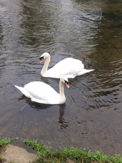 Sculthorpe Mill Hotel Fakenham Bagian luar foto